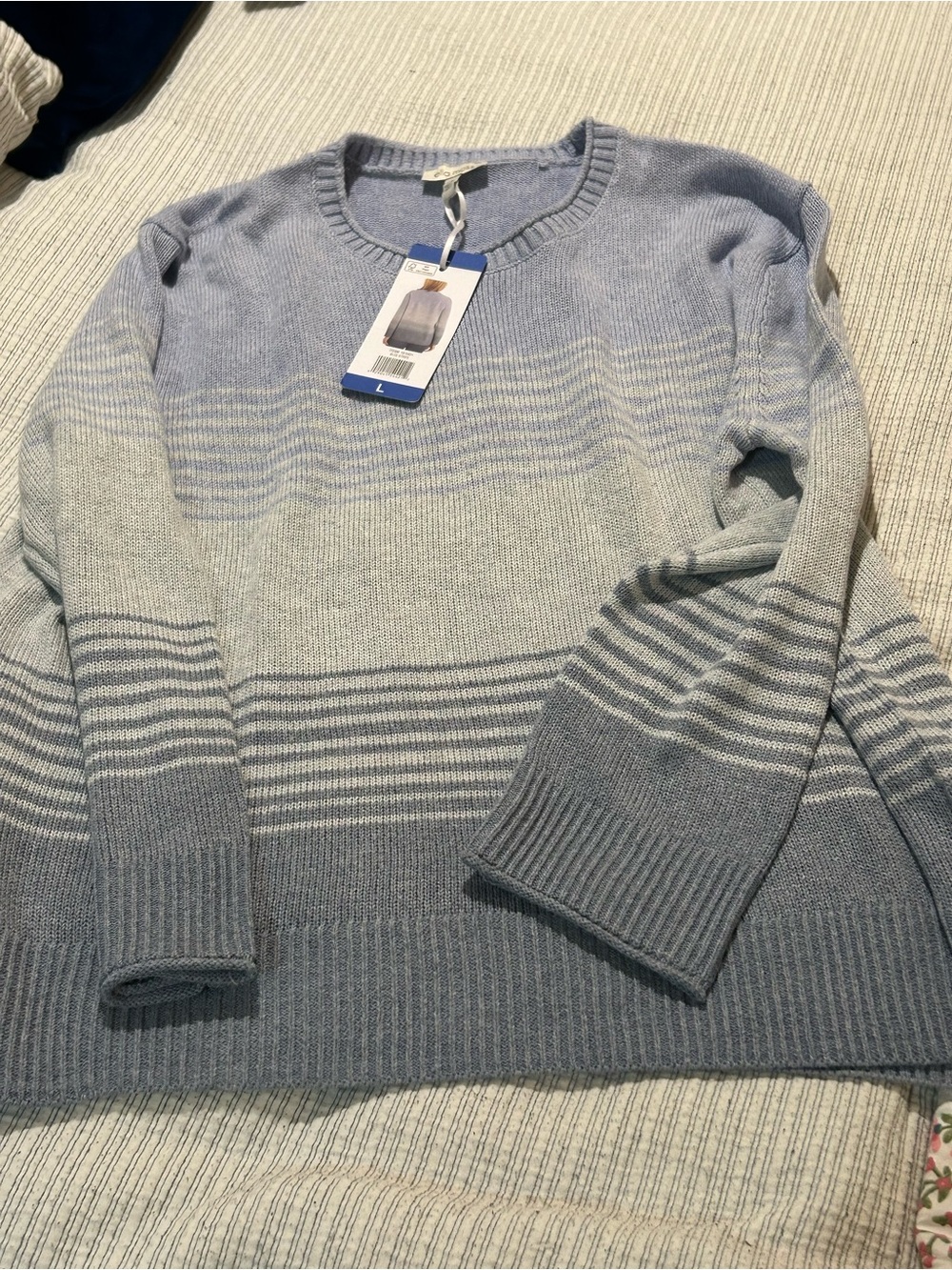 Ella Moss women’s L Gradient Blue Crewneck Sweater